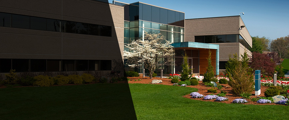 Deerfield Street Landscapers