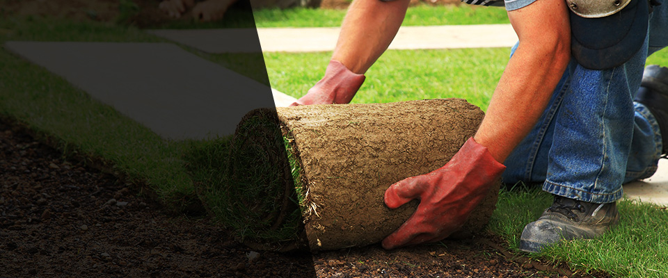 Deerfield Street Landscapers